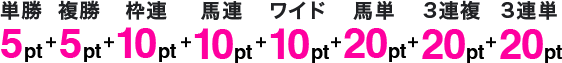 単勝 5pt + 複勝 5pt + 枠連 10pt + 馬連 10pt + ワイド 10pt + 馬単 20pt + 3連複 20pt + 3連単 20pt
