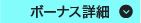 ボーナス詳細