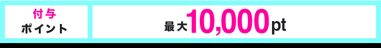 付与ポイント 最大10,000pt