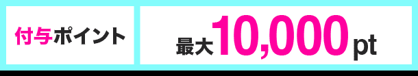 付与ポイント 最大10,000pt